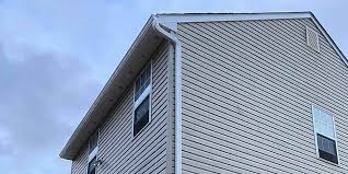 Best Fascia and Soffit Installation  in Iowa Colony, TX